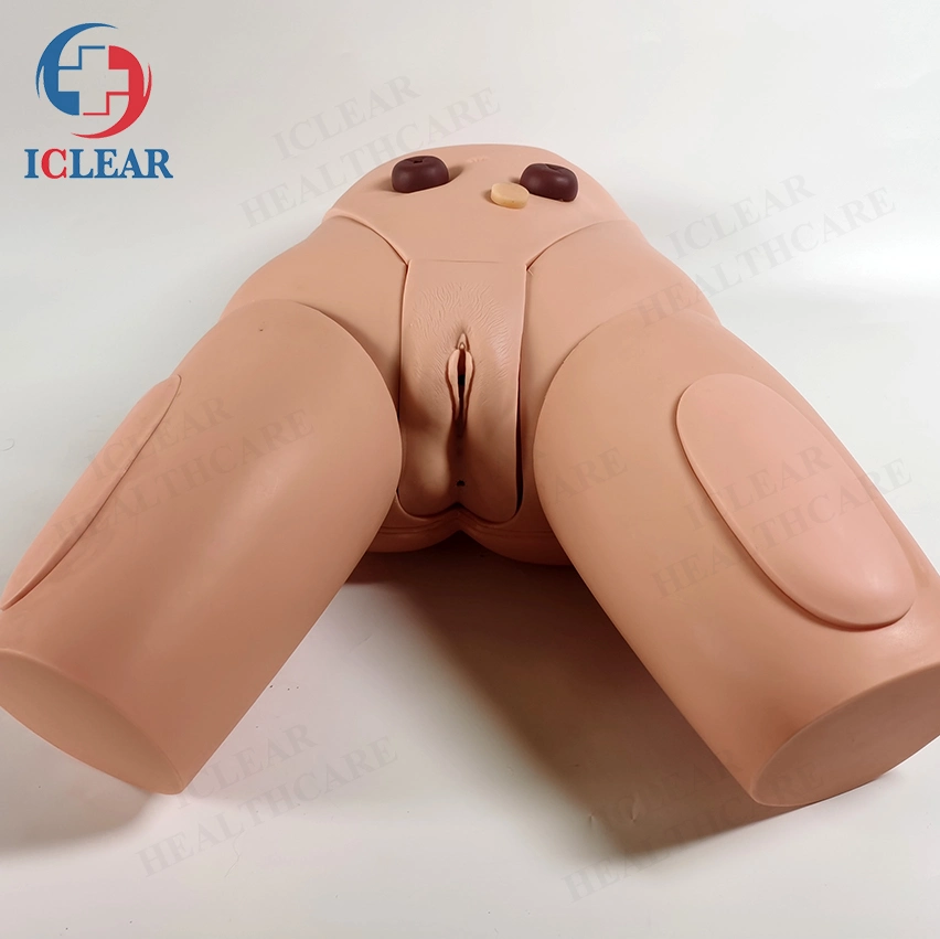 Senior Female Genital Catheterization Simulator