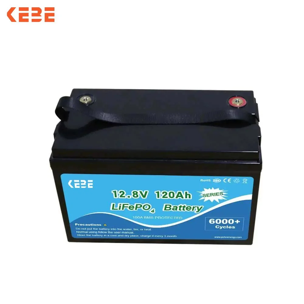 ODM Customization Lithium Battery UPS Power Supply 24V 100ah