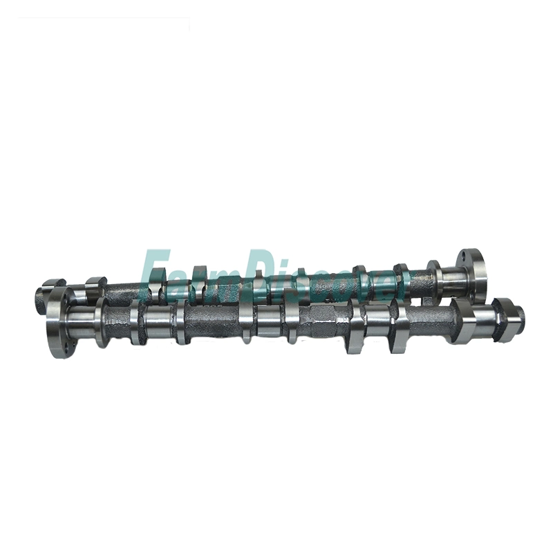 Single Cylinder Camshaft for Sifang Diesel Engine S195