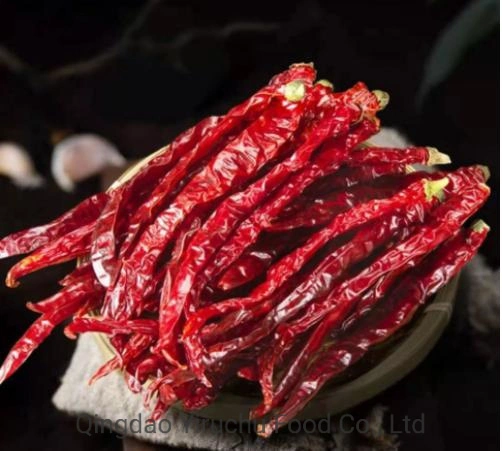 New Crop Air Dried Type Dry Red Chilli