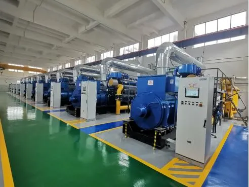 5MW Gasification Power Generation Plant Syngas Generator Genset