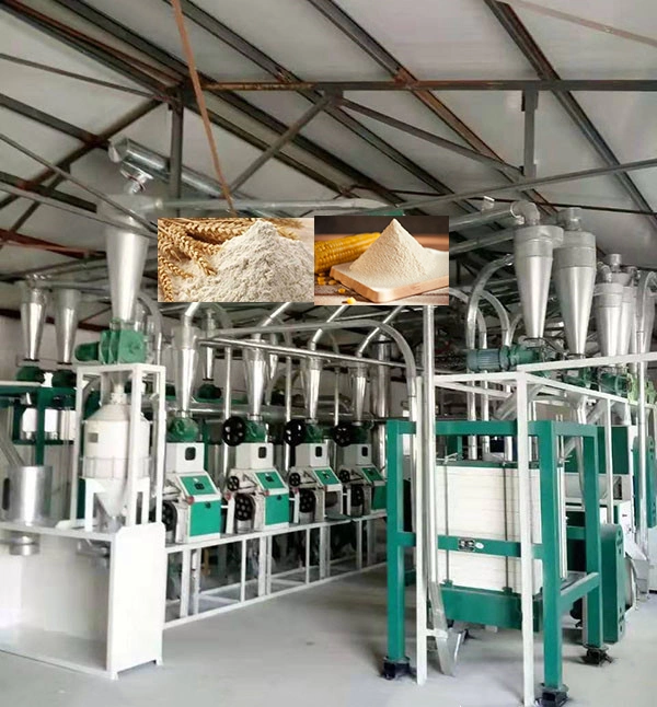 Machine de broyage de farine de blé et de maïs avec une production quotidienne de 5 tonnes.