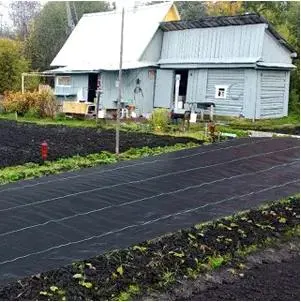 Agricultura Greenhouse tejido de control tejido tejido tejido tejido tejido tejido tejido tejido tejido tejido tejido tejido de paisaje cubierta de suelo Barrera de maleza