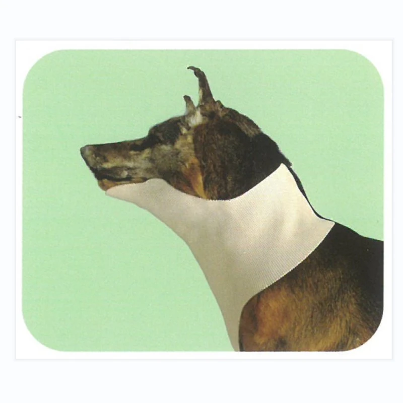 Veterinary Neck Splint Thermoplastic Splint Low Temperature Thermoplastic Material for Animals