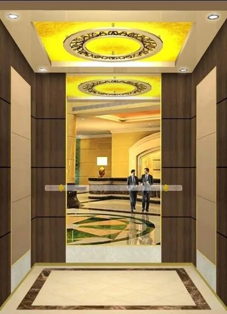 Best Supplier of Lifts Elevator Parts in China with Ce