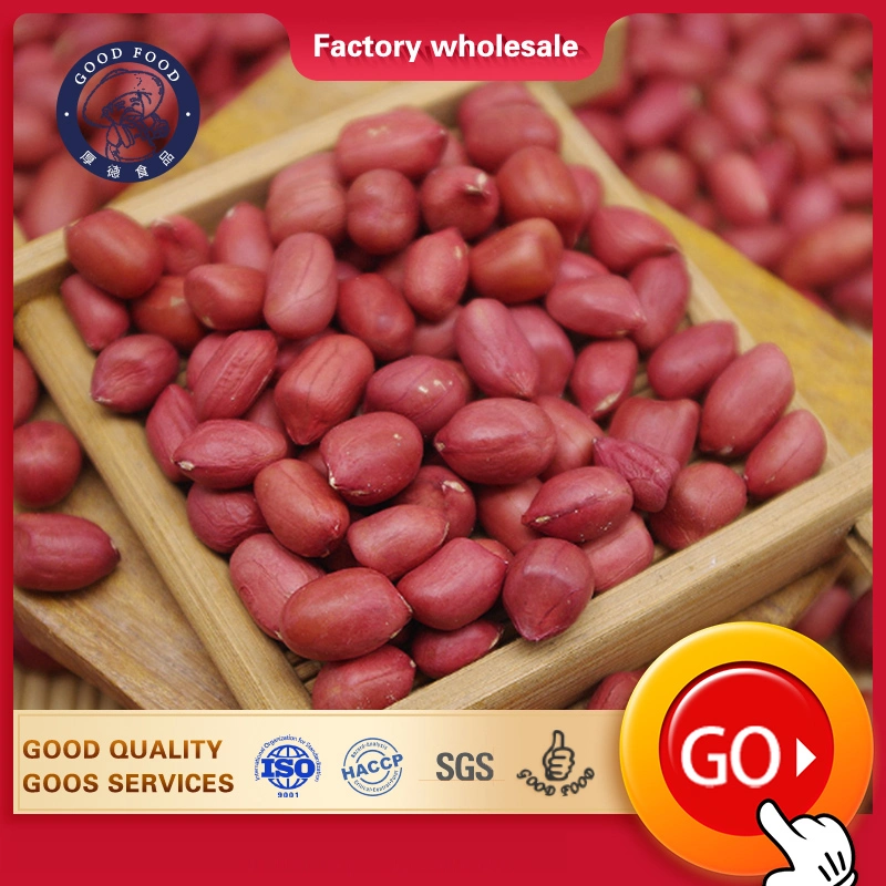 Dried Kernel Peanuts Groundnut Raw/Fresh Red Skin Arachid for Sale Ex-Factory Price