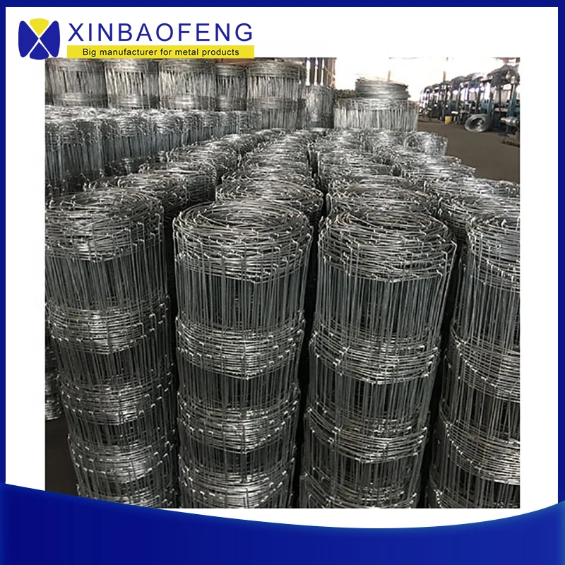 Hot Dipped Galvanized Steel Wire Mesh Farm/Cattle Fence