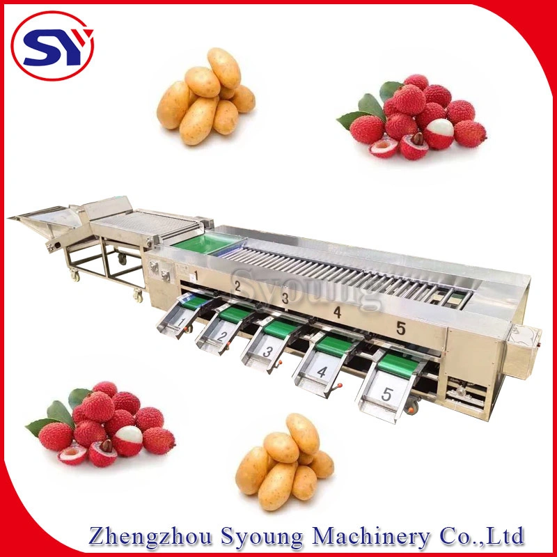 Máquina de clasificación de frutas frescas blandas Sizing por diámetro