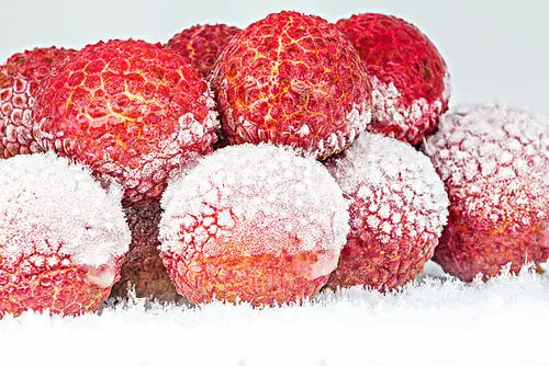 Frozen Peeled Litchi Frozen Tropical Fruits Lychee