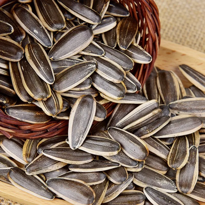 Wholesale/Supplier Factory Black and White Raw Sunflower Seeds