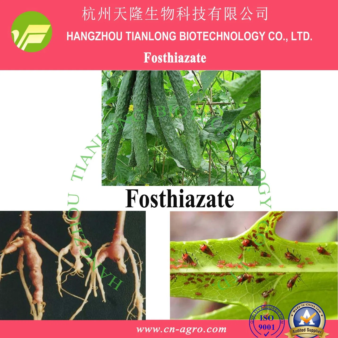 Fosthiazate (96%TC, 10%G, 15%G, 100EC, 150EC, 750EC)-Insecticie, nematicide