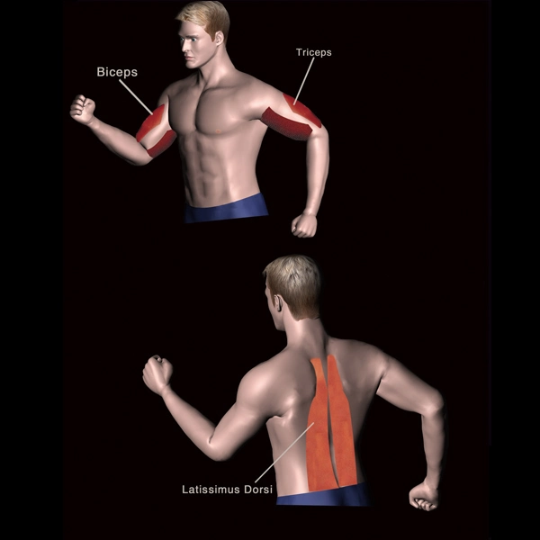 Chin/DIP ayudar a los equipos de la máquina de fitness gimnasio