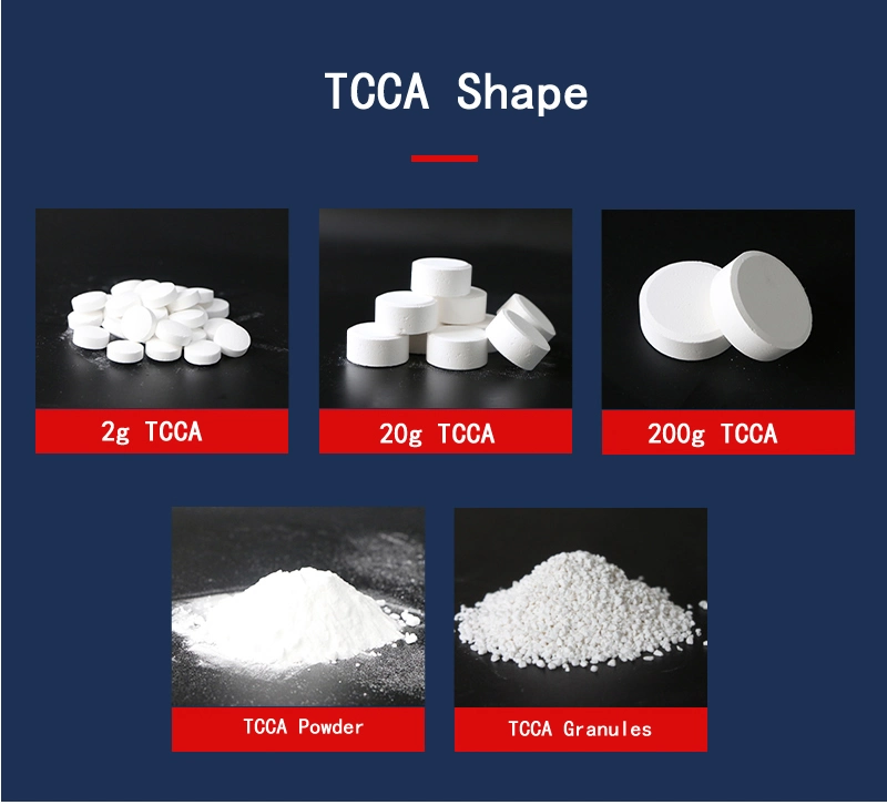 Tratamiento de Agua de calidad industrial de materias primas químicas CAS 2893-78-9 el 99% Polvo Nadcc/Sodio Dichloroisocyanurate SDIC ATCC para piscina