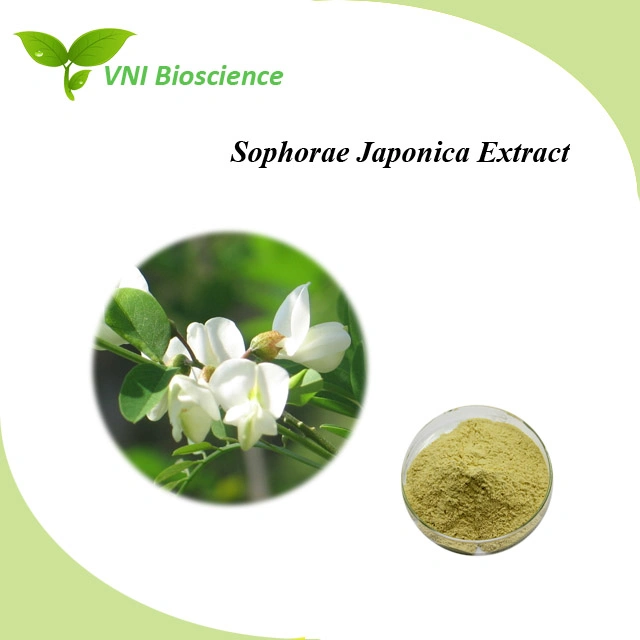 Kosher Halal Certified 100% Natural Quercetin Powder Sophora Japonica Extract