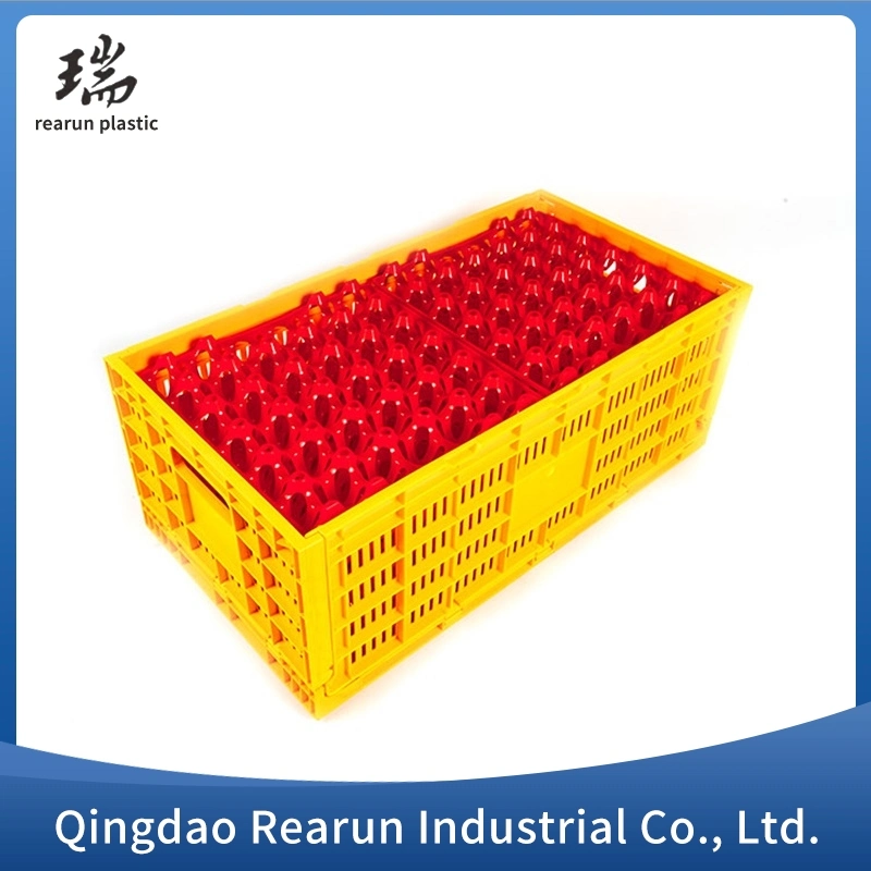 Hot Sale Plastic Egg Trays Custom Color