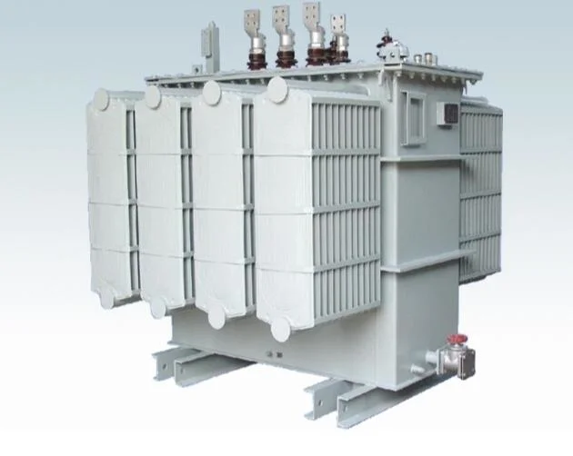 6-10 Kv Power Transformer and Distribution Transformer with Oil Type and Dry Type