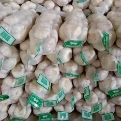 China Garlic Supplier 2023 Low Price New Crop Fresh Garlic Normal White Garlic for Sale