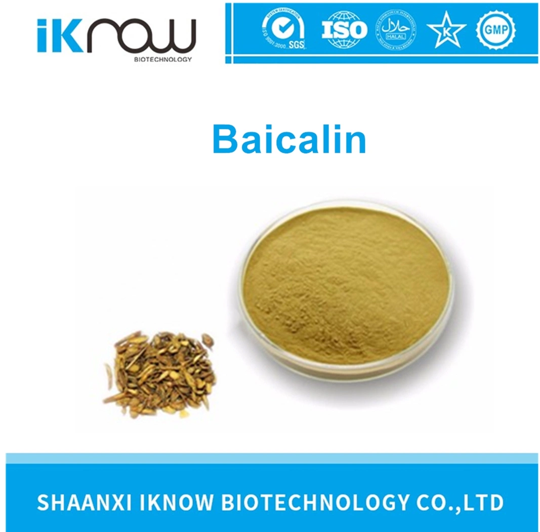 Scutellaria Baicalensis Extract 85.0% Baicalin Light Yellow Powder CAS No. 21967-41-9