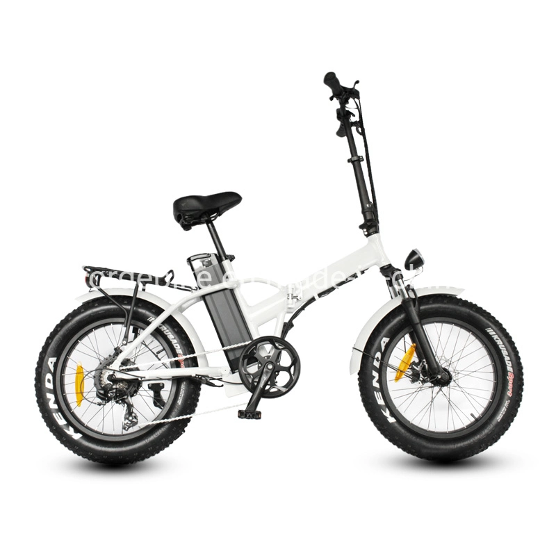 2020 Fat Tire Power Cheap Electric Mountain City Motor Road Snow Folding Bikes 48V Lithium Battery Mini Bike Bicycle