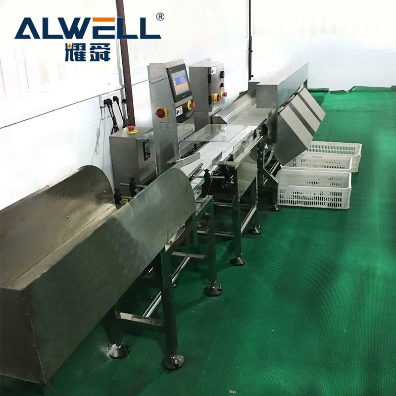 Automatic Food / Fruit Chicken Weight Sorting Machine