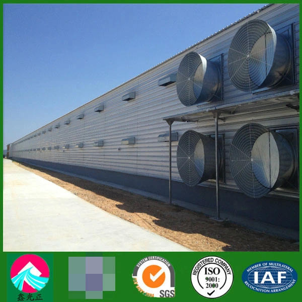 Customized Prefabricated Steel Structure Building Engineered Poultry Farm with CE, CSA&as Certificate High quality/High cost performance 