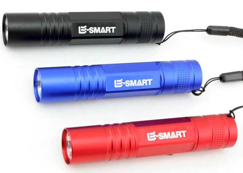 Low Price LED Keychain Pocket LED Mini Torch AA Battery Mini Flashlight