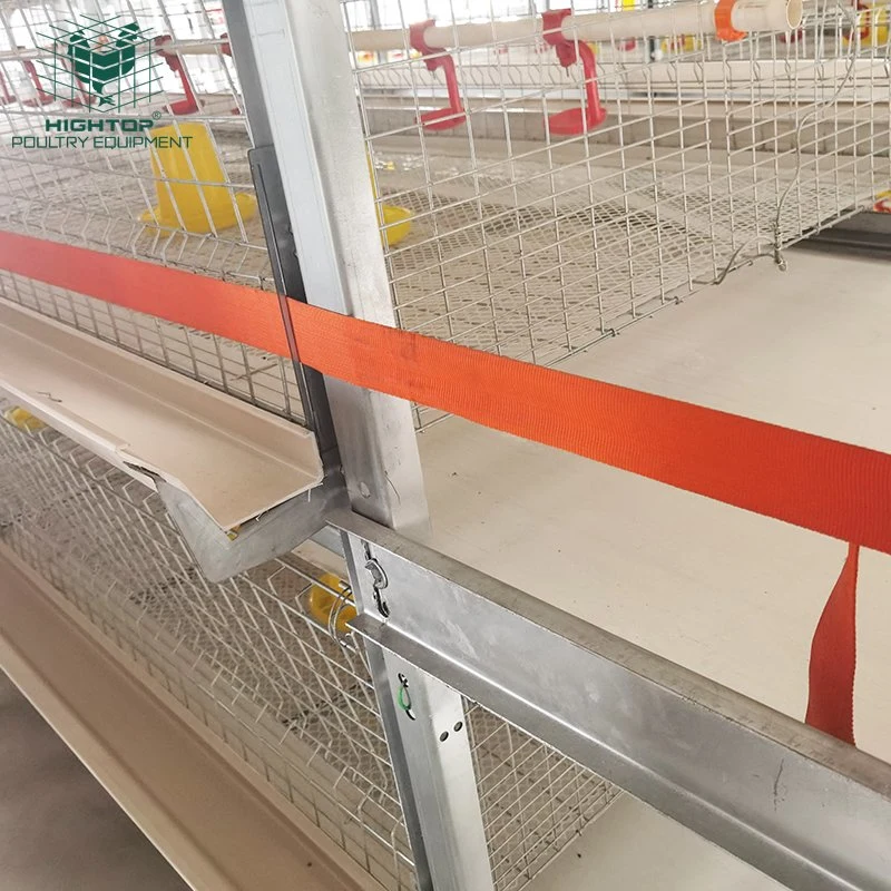 H-Typ-Batterie Chicken Broiler Cage mit automatischem Fütterungssystem