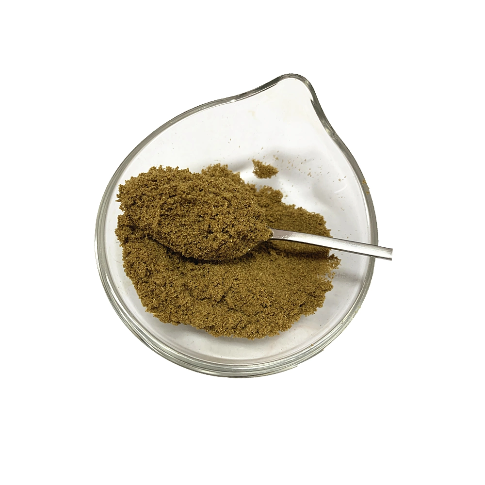 Supply High quality/High cost performance  Black Cumin Seed Extract Powder