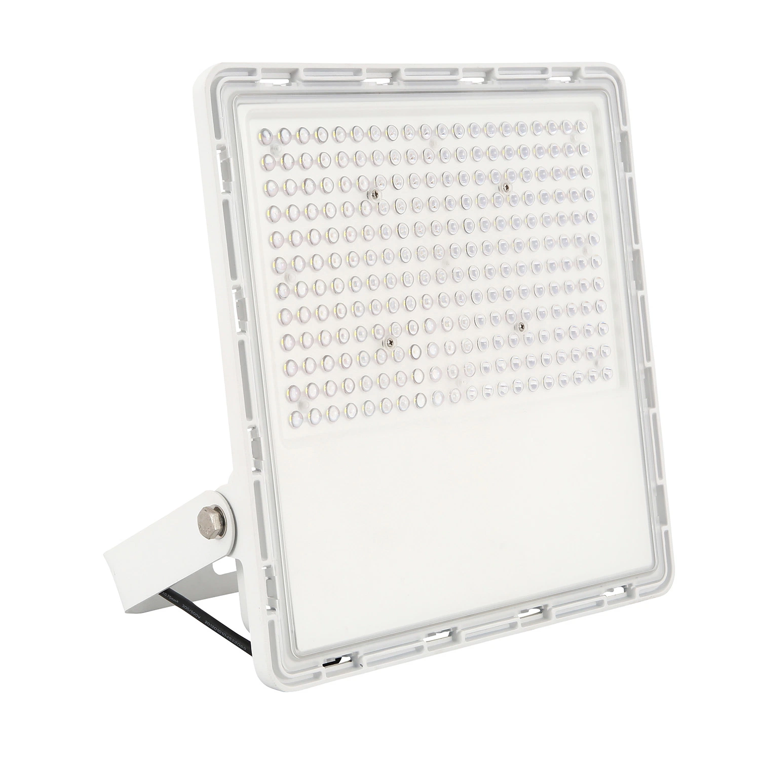 LED Floodlight 100W Outdoor Spotlight Flood Light AC 220V Professional Lighting Street Lamp Waterproof IP65