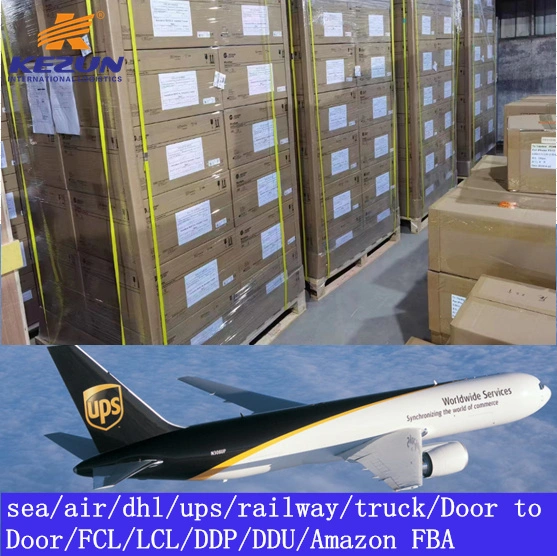 FCL LCL China Sea Freight Forwarder Ocean Freight Logistics Shipping From China Port to Us Baltimore Philadelphia Miami