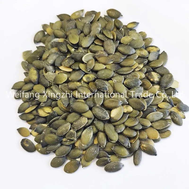 Wholesale/Supplier Inner Mongolia Gws Pumpkin Seeds Kernels