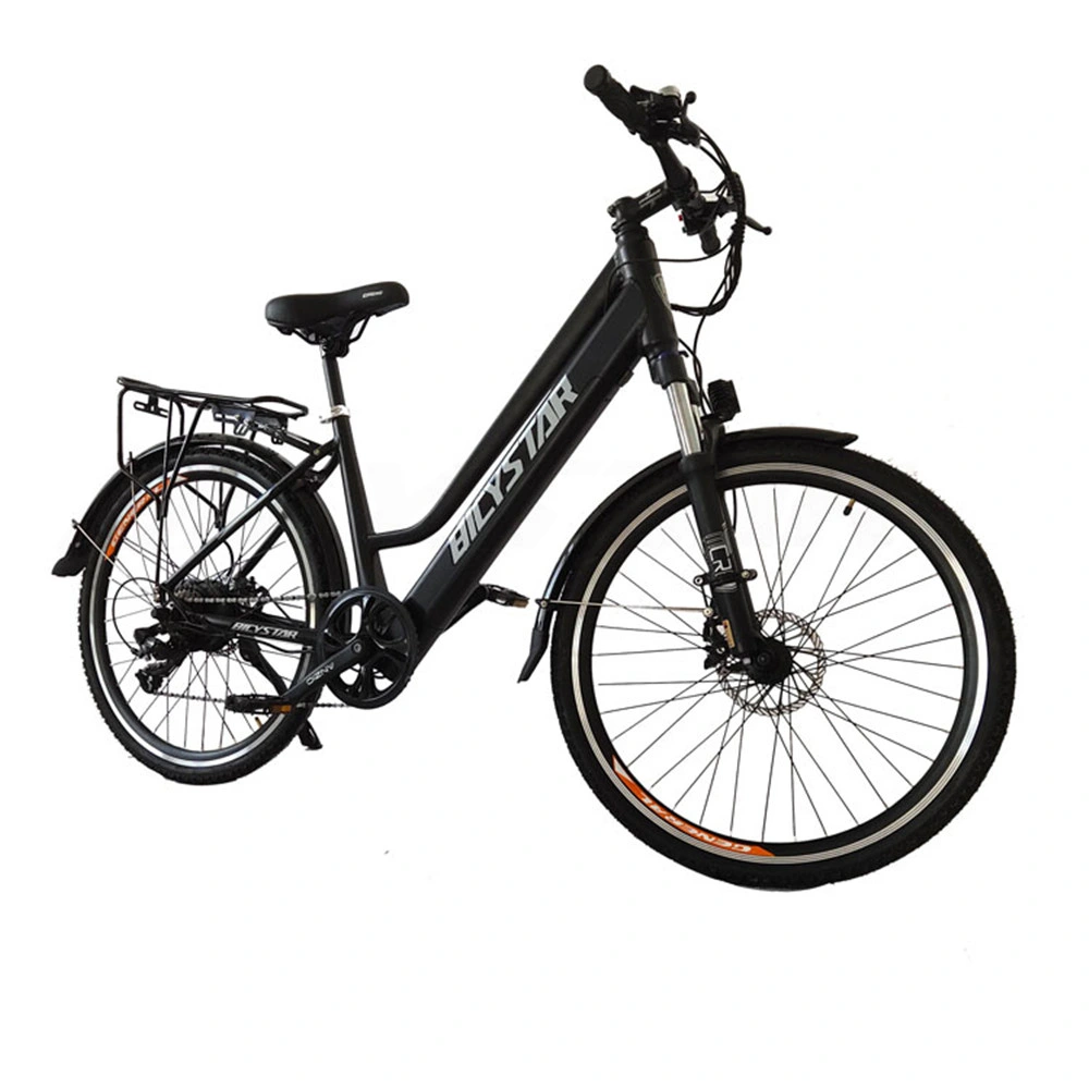 750W 48V Adult Bicycle Bike Carbon CE CE Certificate Cheap E Bike