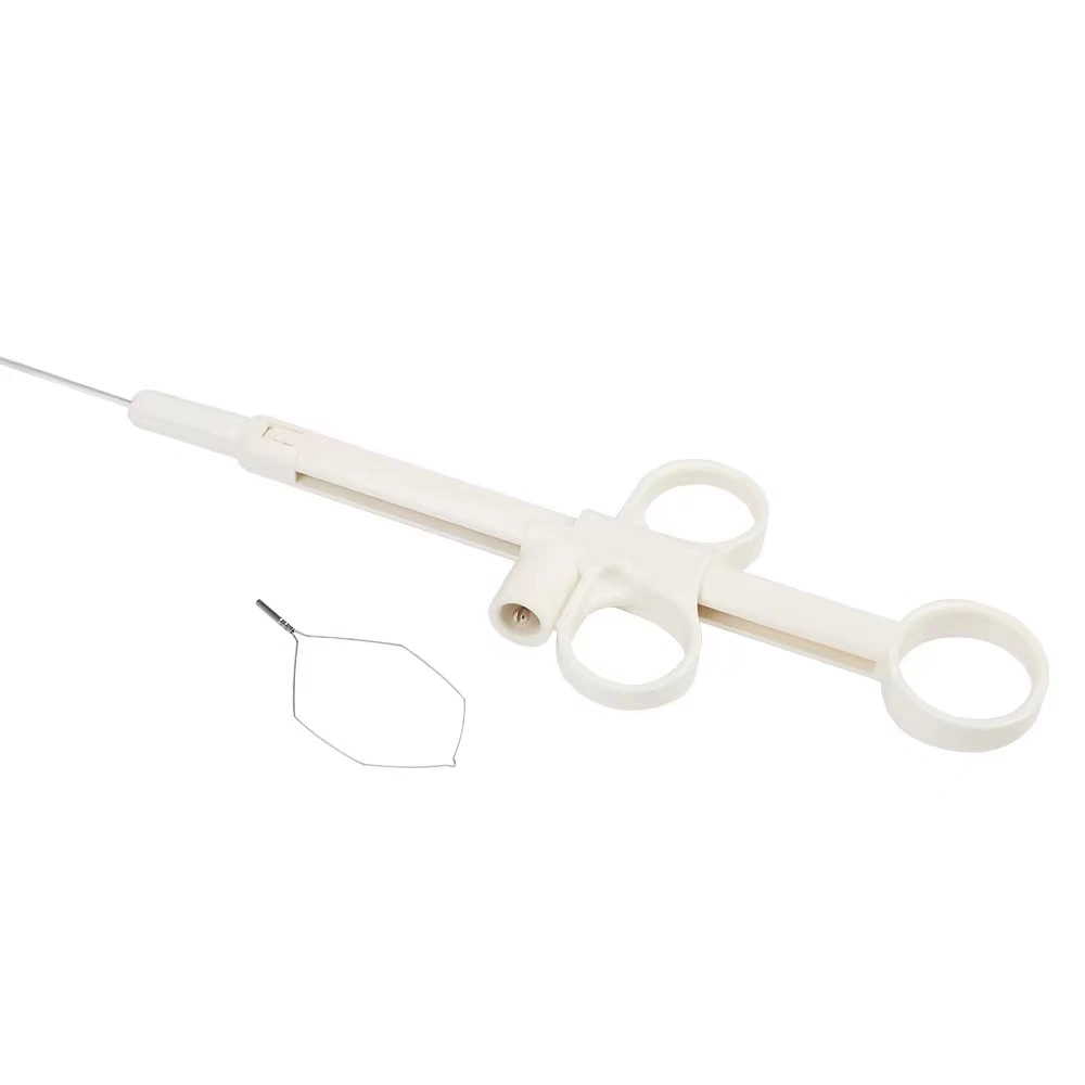 Diagnostic Surgical 2.4mm 2.3cm Hexagonal Endoscopic Polypectomy Cold Snare Loop