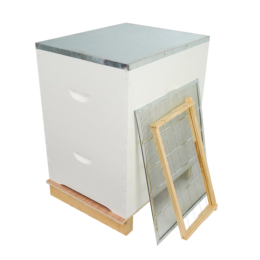 Manufacturers Bee Hive Frames Box Australian Beehive Iron Wire Series Suit