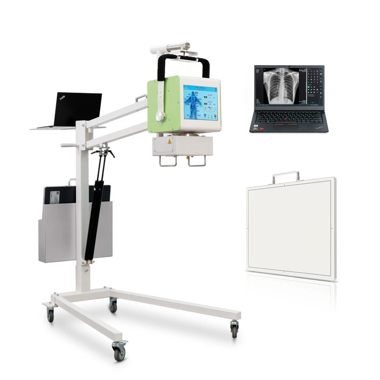 Veterinary Equipment Medical Animal Hospital Clinic 20kw Veterinary Digital X Ray Machine