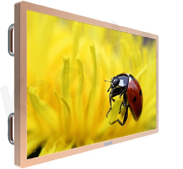 Outdoor Wall Mount 43/55/65'' Interactive Touchscreen LCD Monitor