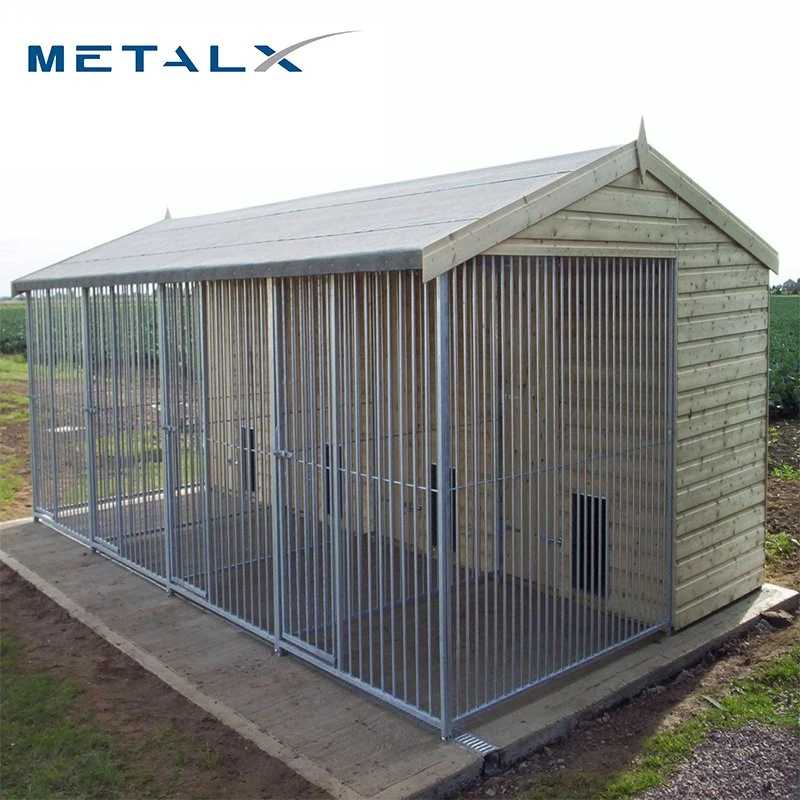 Small Steel Dog Kennel with Galvanized Steel Fence Outside Heavy Duty 5 Glass Door