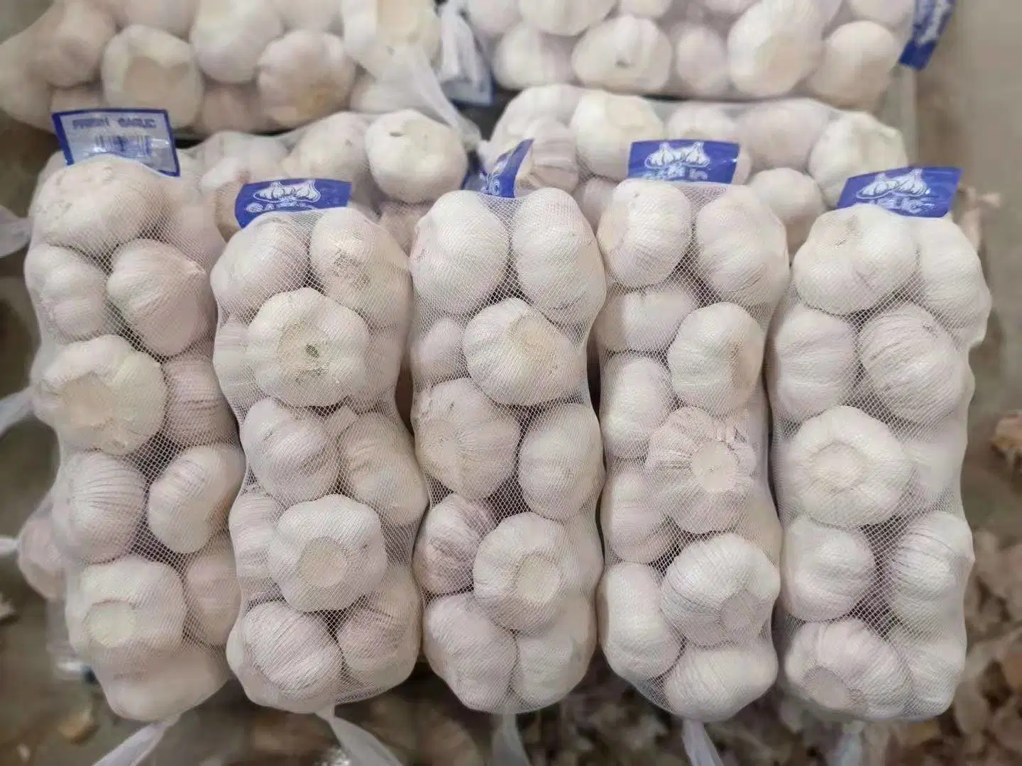 Normaler reiner weißer Knoblauch aus China mit Beutel / Karton Verpackung