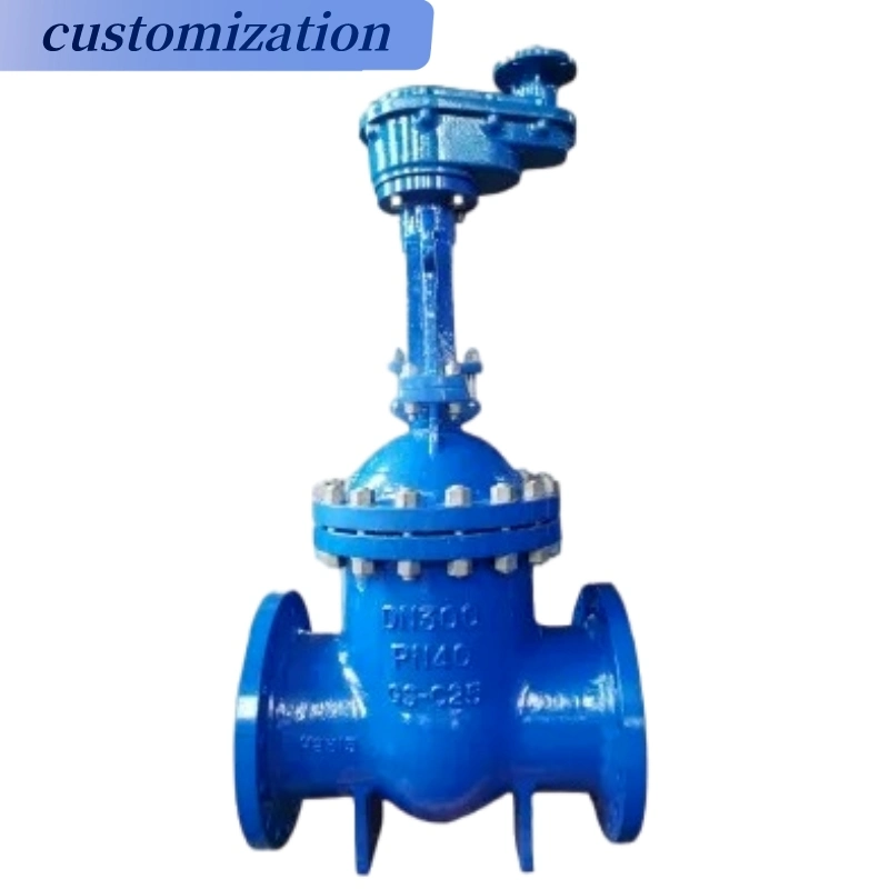 Stainless Steel Material Flange Gate Valve Hard Seal Valves and Fitting