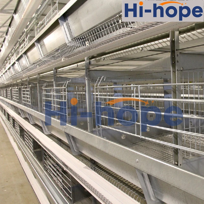 Factory Price Farm Equipment Egg Layer Cage for Poultry Farm