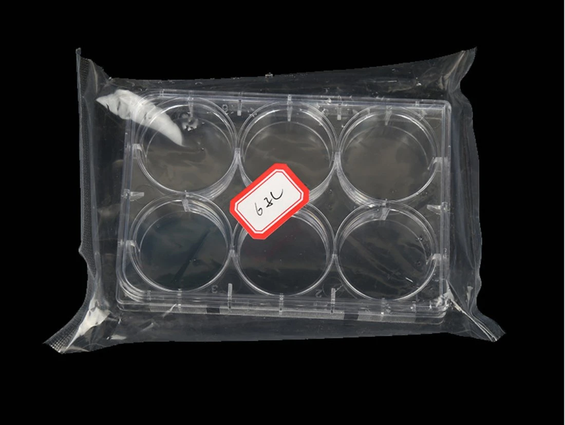 Plastic White Tc Treated 96 Well Cell Laboratory Bacterial Culture Plate