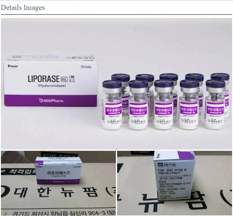 Liporase hyaluronidase Corée injections à long terme pour acheter pour cosmétique Dissolvant de remplissage facial