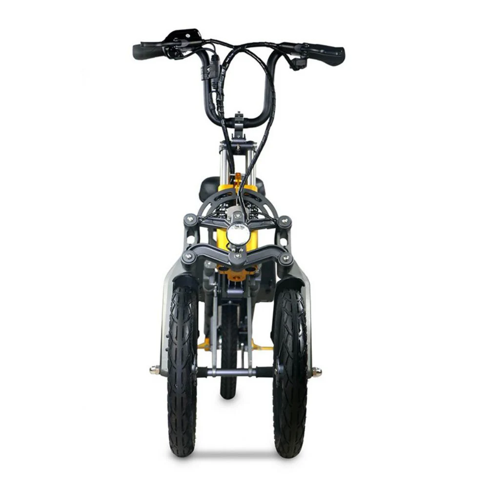 CE En15194 تصميم جديد شائع بطارية مخبأة 3 عجلات كهربائية دراجة
