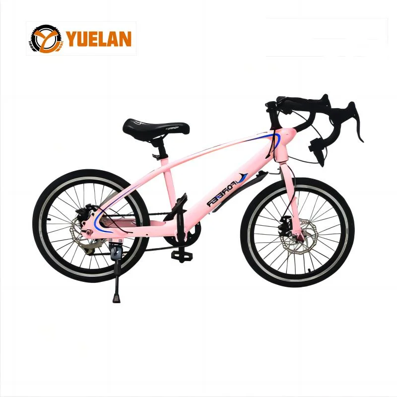 Mayorista/Proveedor 20inch Magnesium Alloy Kids Bikes 12/14/16/18/20 pulgadas Kids Bikes Precio barato Pink niños Bicicletas