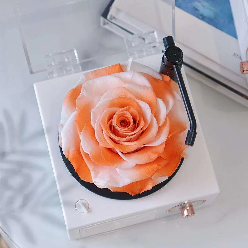 Artificial Flower Factory Wholesale/Supplier Austin Rose Flower Music Box Gift Fake Flowers Preserved Real Eternal Rose Rotating Gift Box