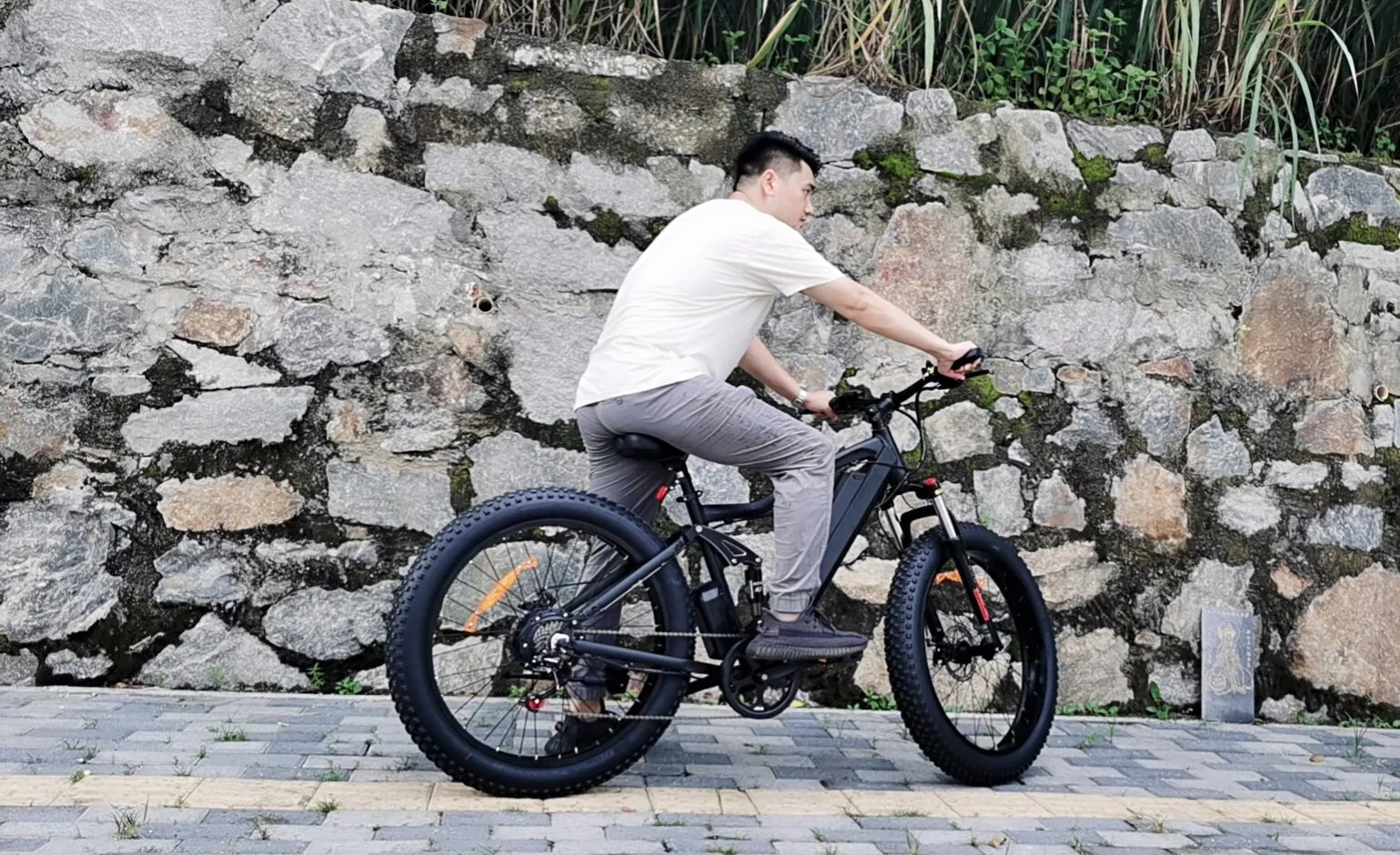 Ready to Shipping 48V 550W New Design EU Warehouse Full Suspension Fat Tire Mountain Dirt Electric Bike