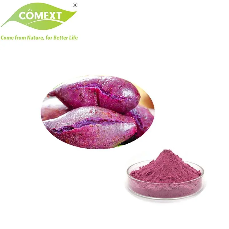 Comext 100% Salud Natural Alimentos promover la motilidad intestinal Dulce Púrpura Polvo de patata