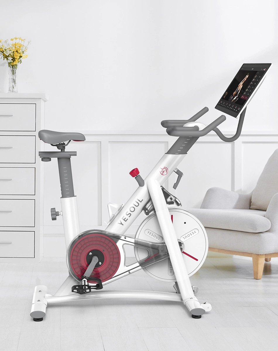 Yesoul Quiet Indoor Exercise Gym Equipment Magnetic Spinning Bike