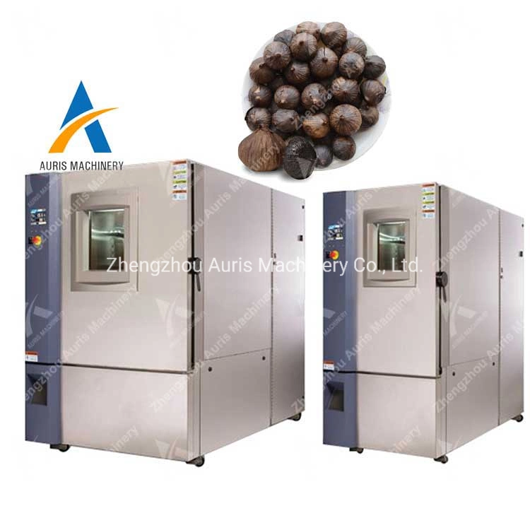 Best Quality Black Garlic Fermenter Black Garlic Fermenting Machine Black Garlic Fermenting Processing Machine