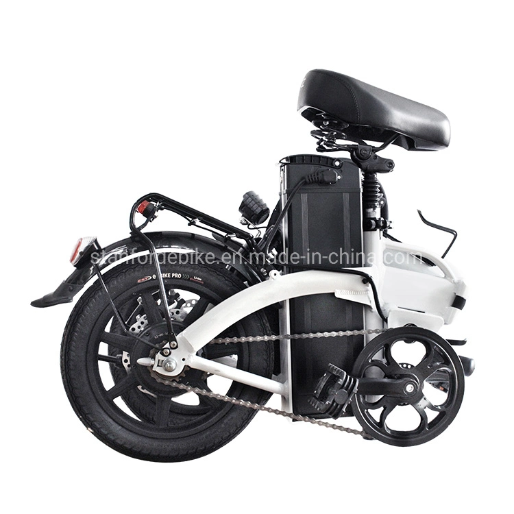 New Ebike Electric Bicycle Bike with 48V 20ah Lithium Battery Electric Bike Folding